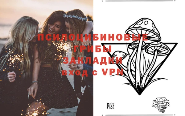 экстази Алексеевка