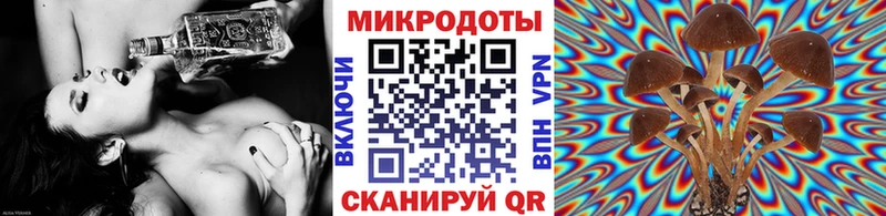 MEGA tor как найти закладки Морозовск Галлюциногенные грибы Psilocybe