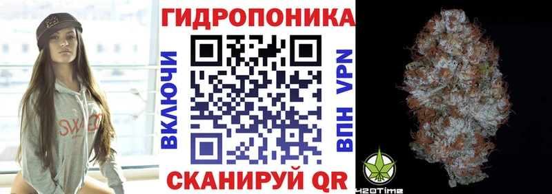Конопля гибрид Морозовск